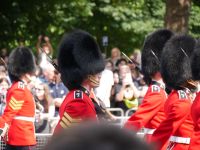 Parade