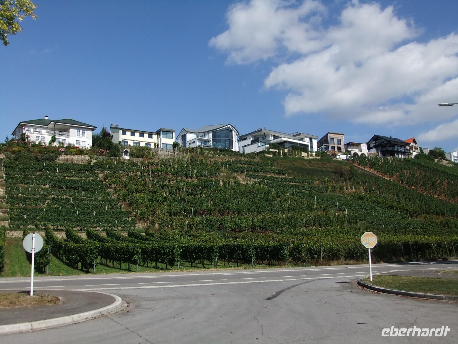 Weinberge an der Mosel