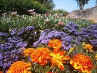 Blumenrabatte in Echternach