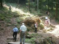 Auf dem Weg zum Schiessentümpel