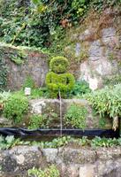 Mäneken piss als Hecke in Durbuy