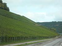 Mosel mit Weinbergen