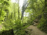 Kleine Luxemburger Schweiz