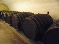 Sektkellerei in Grevenmacher