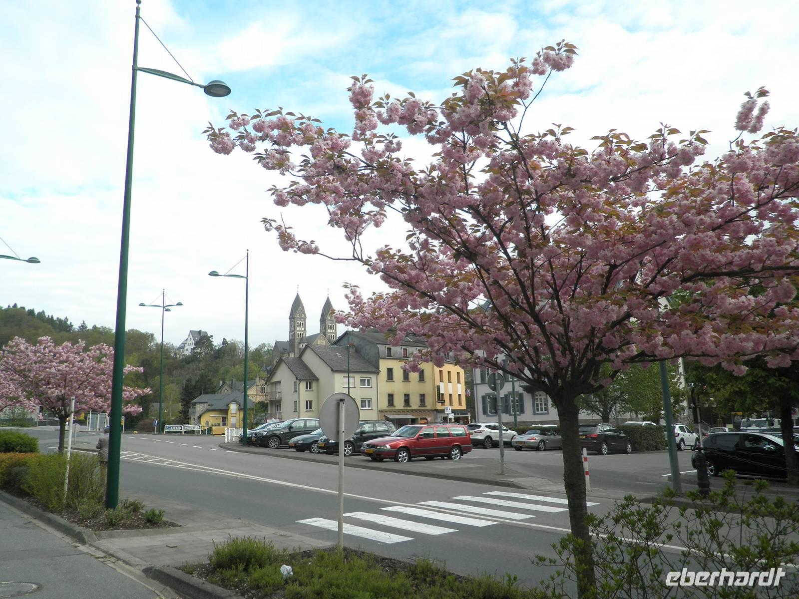Clervaux