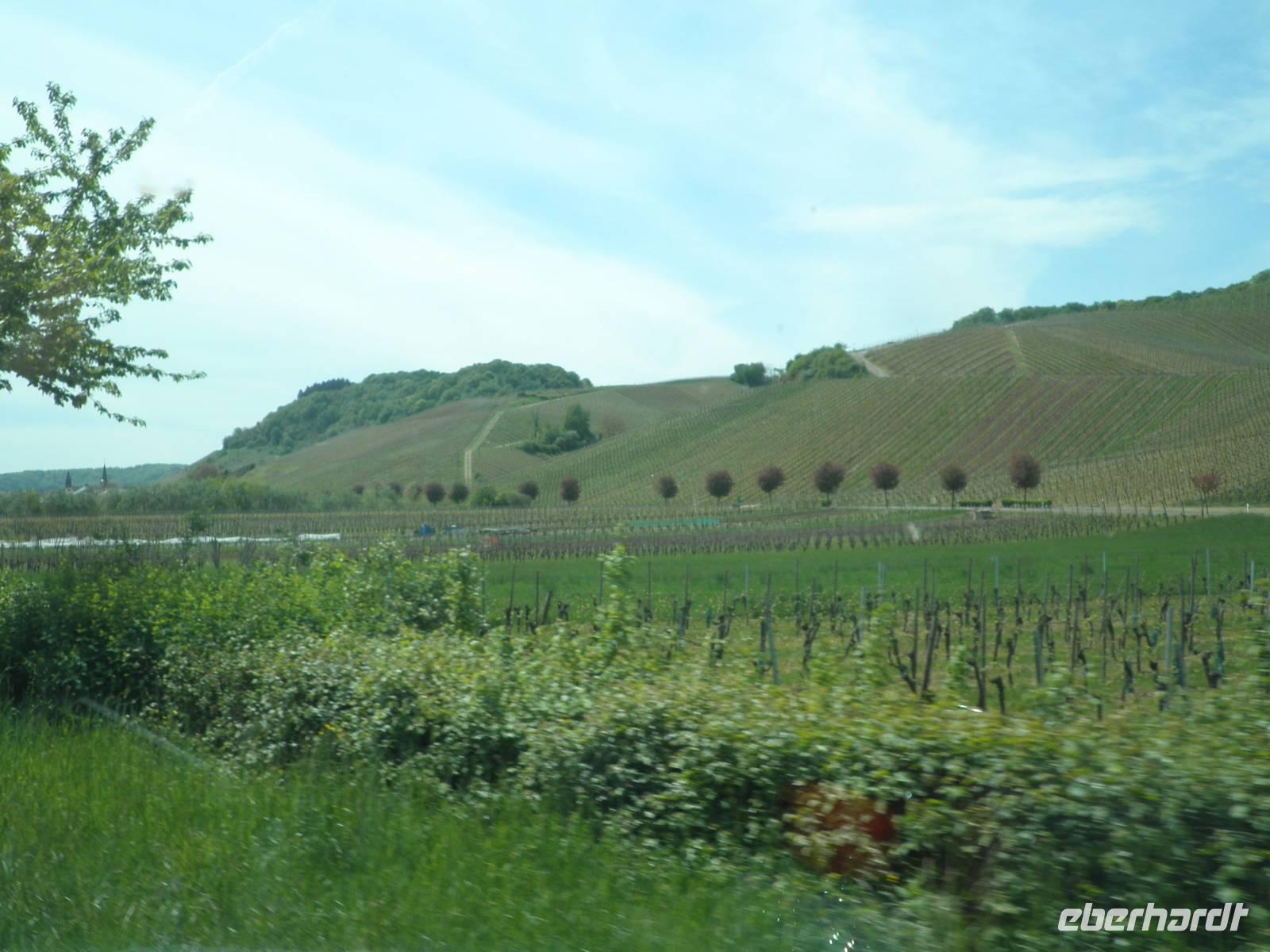 Mosel