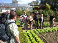 Garten- und Kräuterkunde