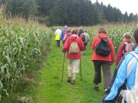 Unterwegs durch Wald und Flur