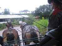 A Robbesscheier - Kutschfahrt