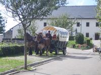 A Robbesscheier - Kutschfahrt