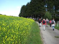 Auf dem Weg nach Heinerscheid