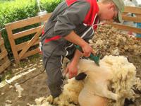 Wanderung nach Mundshausen