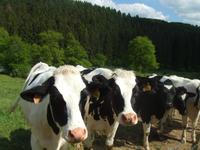 Wanderung nach Mundshausen