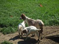 Wanderung nach Mundshausen