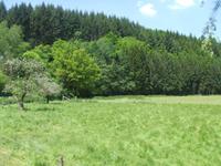 Wanderung Wilwerwiltz