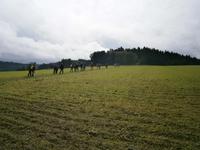 Luxemburg - für Genießer und Wanderfreunde