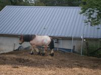 Luxemburg - für Genießer und Wanderfreunde