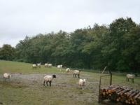 Luxemburg - für Genießer und Wanderfreunde