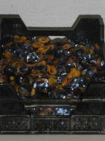 Luxemburg - für Genießer und Wanderfreunde