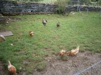 Luxemburg - für Genießer und Wanderfreunde