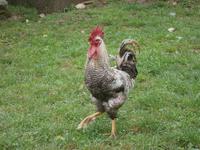 Luxemburg - für Genießer und Wanderfreunde