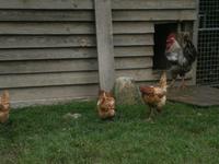 Luxemburg - für Genießer und Wanderfreunde