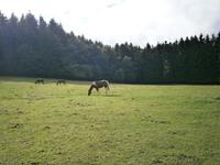 Luxemburg - für Genießer und Wanderfreunde