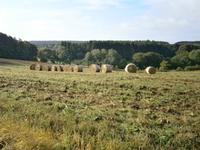 Luxemburg - für Genießer und Wanderfreunde