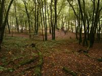 Luxemburg - für Genießer und Wanderfreunde