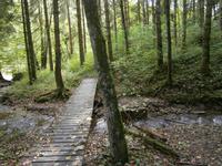 Luxemburg - für Genießer und Wanderfreunde