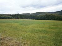 Luxemburg - für Genießer und Wanderfreunde