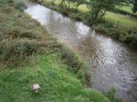 Luxemburg - für Genießer und Wanderfreunde