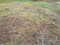 Luxemburg - für Genießer und Wanderfreunde