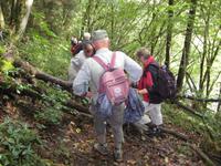 Hindernis am Ourtal