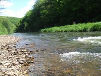 Wanderung durchs Ourtal