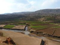 011 Madagaskar - unterwegs nach Antsirabe - Reisfelder