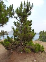 027  Madagaskar -  Antsirabe - See Andraikiba