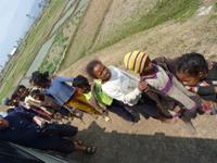 031 Madagaskar - Unterwegs nach Ranomafana