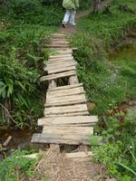 049 Madagaskar -  Ranomafana