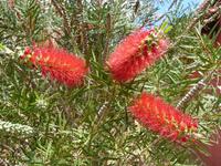 068 Madagaskar - Unterwegs nach Ranohira