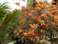 069 Madagaskar - Unterwegs nach Ranohira