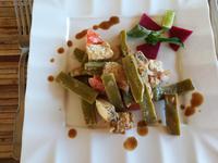 107 Madagaskar - Jardin du Roy - Salat aus Kaktusblättern