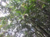 Ranomafana-Nationalpark