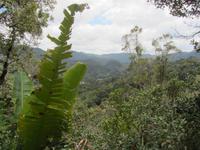 Ranomafana-Nationalpark