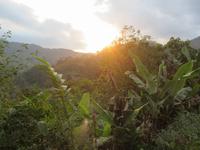 Ranomafana-Nationalpark