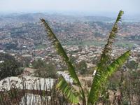 Blick auf Antananarivo