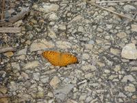 111 Madagaskar - Unterwegs nach Tulear