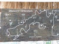 115 Madagaskar - Unterwegs nach Tulear - Arboretum Antsokay