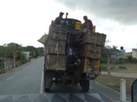 123 Madagaskar - Unterwegs nach Tulear