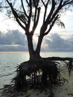 126 Madagaskar - Hotel La Mira du Madiorano